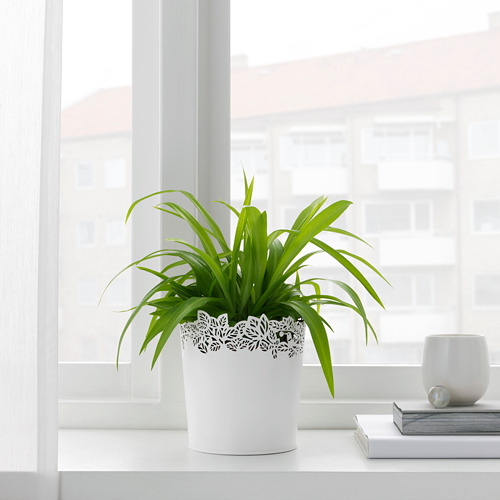 SAMVERKA plant pot