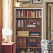 HEMNES bookcase