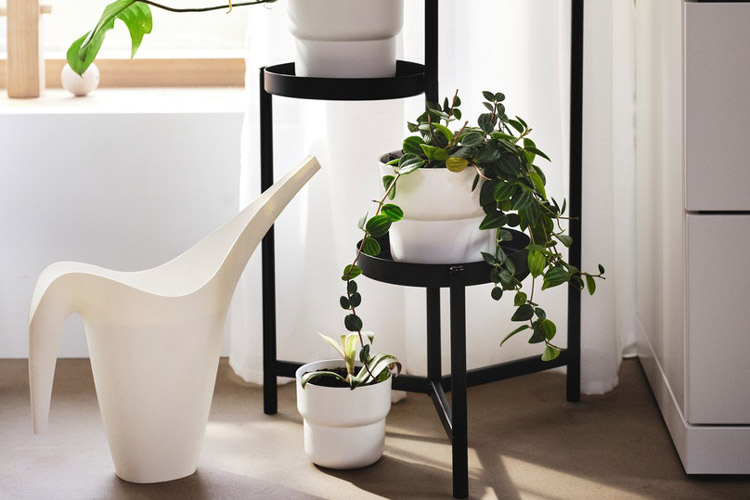 花盆 Ikea 香港及澳門
