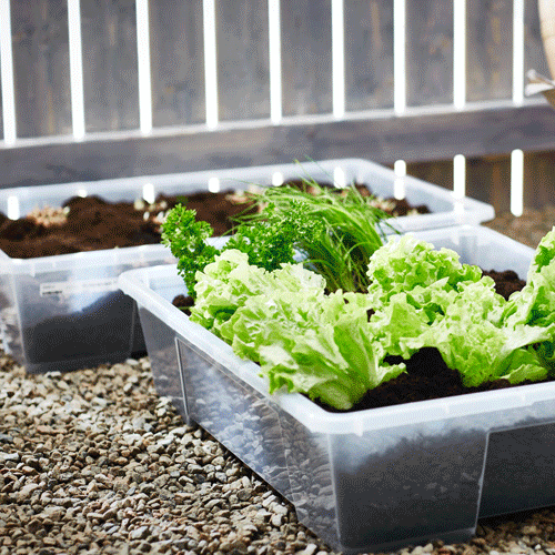 Storage Products│More space for your Home│ IKEA Hong Kong and Macau