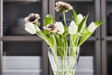 為家居注入大自然魔法