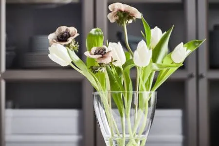 Invite nature’s magic into your home