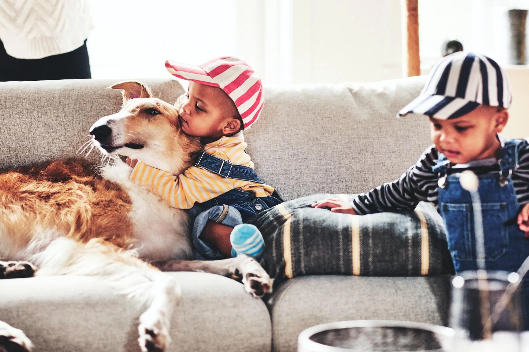 Home 3 | Blended: a combined household with space for a big family