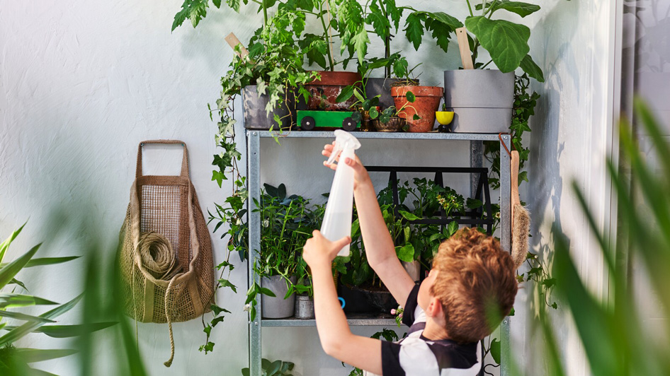 讓小朋友學習自理：與孩子同住的小蝸居