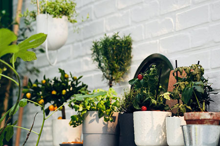 Home 8| Reuse, repair, recycle, reimagine: living more sustainably with IKEA