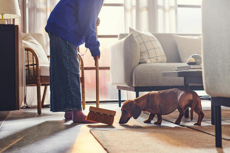 Fresh as can be: a home designed for cleaning from the ground up